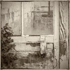 Nature Takes Back Control (series) by Bob Oakley