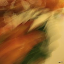 From 'Reflections & Movement' series by Angie Hill