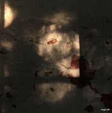 Red Wing Spirits (series) by Angie Hill.