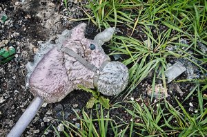 Pleasley Hill (series) by Geoff Hicks