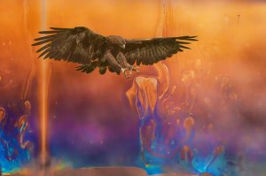 Visions in Chaos (series) by Barrie Glover