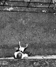 Observation by Dave Dewson