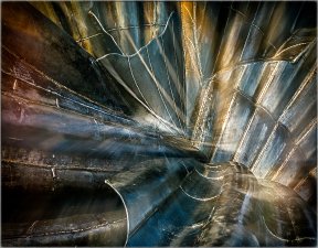 Exploring the Shell (1) by Judy Knights