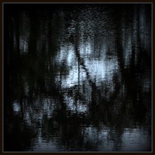 From 'Reflections & Movement' series by Angie Hill