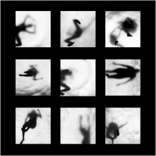 Human Forms by James Boardman-Woodend