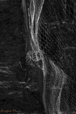 Wire Wraith (series) by Angie Hill