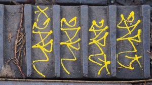 'Observations' (series) by peter Young