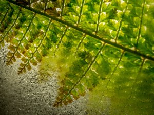 Outside Comfort Zone (1) by Eric Williams