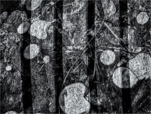 Combo Light by Judy Knghts