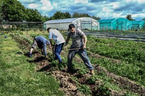 The Good Soil Journey - photo project
