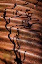 Shadow-Play ('Skiagraphy' series) by Nigel Reader