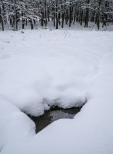 Frame from 'Metamorphosis' AV by James Boardman-Woodend