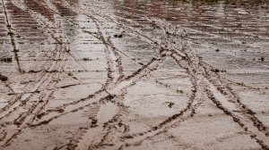 Worcester Floods (series) by Peter Young
