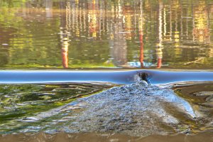 Worcester floods (series) by Eric Williams