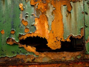 Decay (series) by Eric Williams