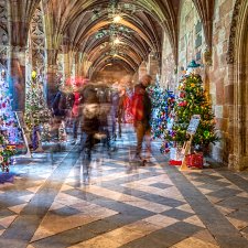 Christmas Tree Festival, Worcester cathedral by Colin Nash