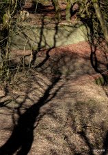 From Illusions, Shadows, Reflections (series) by Angei Hill