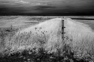 'The Deserted Land' (series) by Bob Oakley