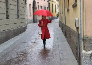 Umbrellas (series) #1 by Alex Isaacs