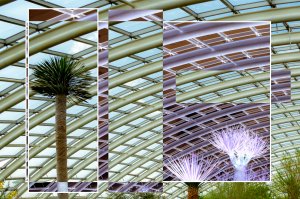 The Bio-Dome (series) by Clive Haynes