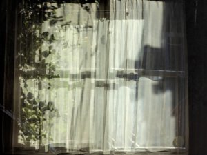 From 'Winter Light' series by Tessa Mills