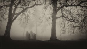 Chinese Bridge in Fog (series) by Peter Young