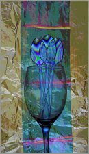 Wine Glass (series) Sue Warner