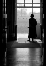 Shadowlands by Stewart Bourne