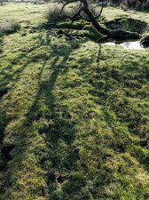 Spirit of Dartmoor (series) by Tessa Mills