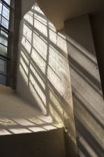 St. Swithin's Project by Heather Mann (series)