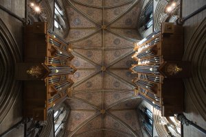 Symmetry by Paul Dewdney