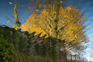 Reflections at the Red Cone (series) by Eric Williams