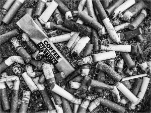 'Nub Ends' (series) by Bob Oakley