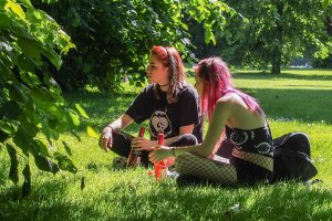 Hyde Park Rose by Peter Young