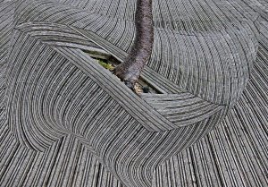 Insanity Series by Richard Sarginson