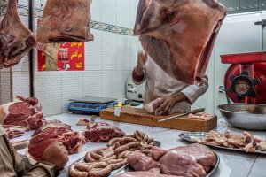 Morocco (series) by Judy Knights