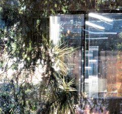 From 'Winter Light' series by Tessa Mills