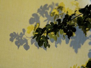 Unintentional Art (series) by Tessa Mills 