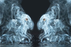 Smoke Bunnies by Barrie Glover