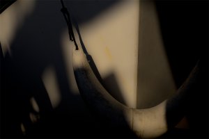 Early One Morning by John Hoath