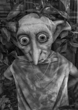 House Elves by Stewart Bourne