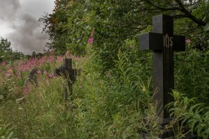 From Graveyard series by Eric Williams