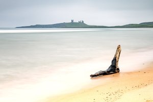 From Northumberland series by Barrie Glover