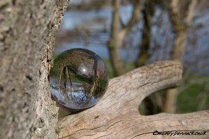 'Orb' by Maddy Pennock