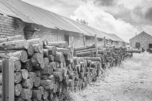 Pit Props by Barrie Glover