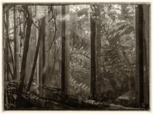 From 'Nature Takes Back Control' series by Bob Oakley