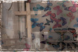 'Flight of Souls' by Maddy Pennock