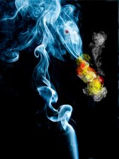 Smoke Dragon by Barrie glover